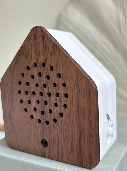 the nightingale bird box