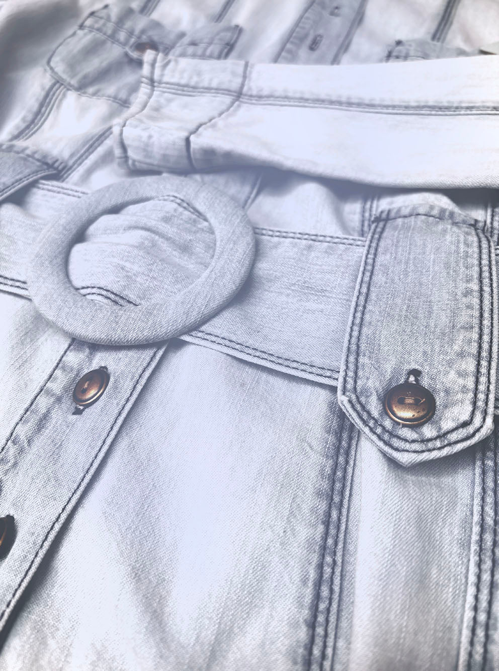 Denim Jacket Sass and Bide